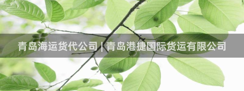 尊龙最近一次露面：青岛海运货代公司 | 青岛港捷国际货运