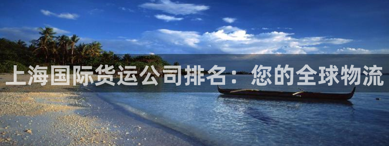 尊龙新版app：上海国际货运公司排名：您的全球物流